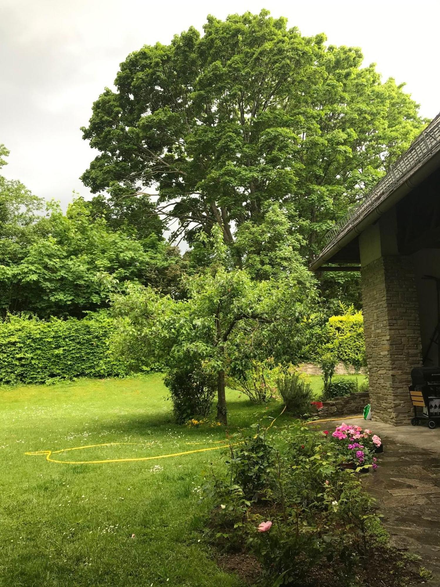 Landhaus Am Kurpark Lejlighed Baden Eksteriør billede